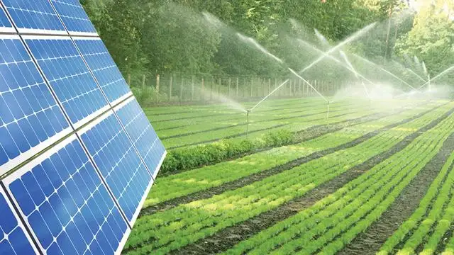 Từ mái nhà đến nhà máy – pin mặt trời đang thay đổi nguồn năng lượng