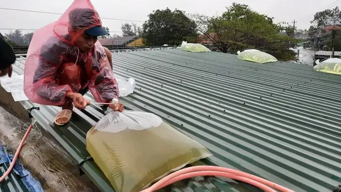 Ứng phó với bão