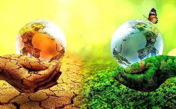 Biến đổi khí hậu là gì? Hiểu đúng để bảo vệ Trái Đất