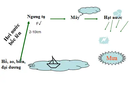 Hình ảnh cơn mưa rơi trên cánh đồng với mây đen dày đặc