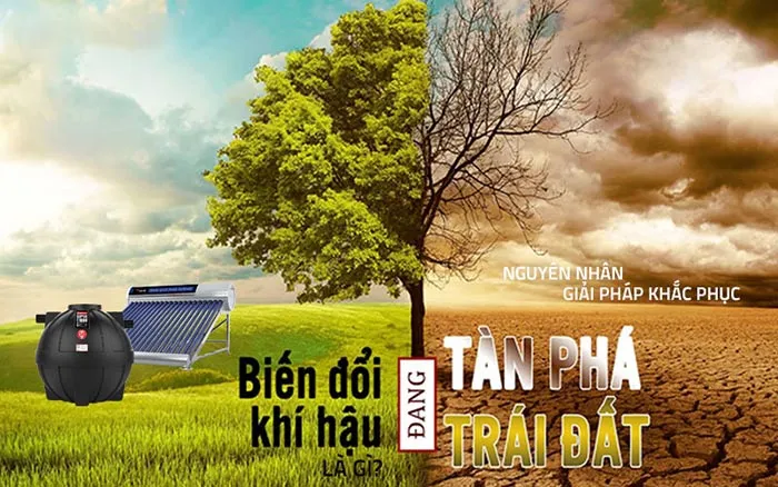 Nguyên nhân chính gây ra biến đổi khí hậu toàn cầu