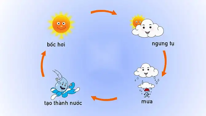 Nguyên nhân hình thành mưa trong khí quyển