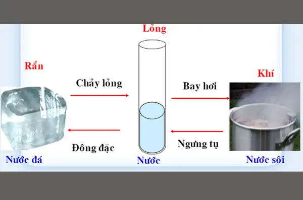 Biến đổi vật lý là gì? Giải mã hiện tượng khoa học thú vị năm 2025
