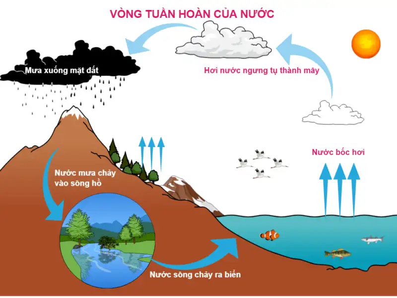 Sự bốc hơi và ngưng tụ trong biến đổi vật lý