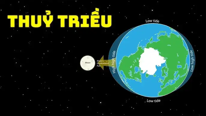 Thủy triều là gì