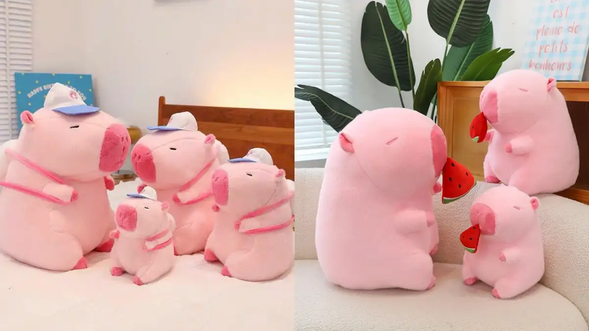 Ứng dụng sáng tạo cho chuột lang