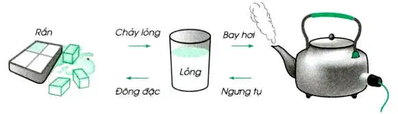 Nhiều biến đổi vật lý liên quan đến sự trao đổi năng lượng