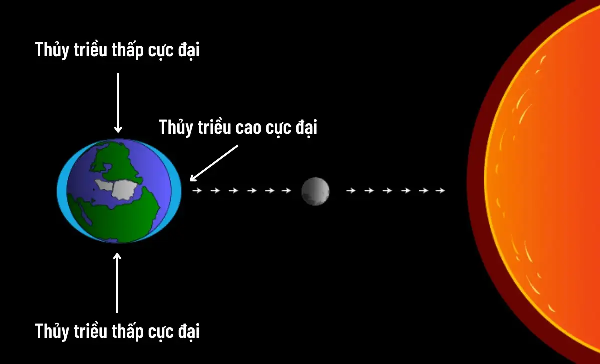 Vì sao thủy triều lên xuống theo chu kỳ