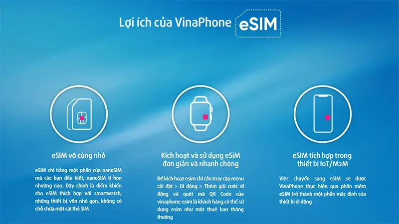 VinaPhone hỗ trợ tốt, có thể làm qua app My VNPT hoặc trực tiếp
